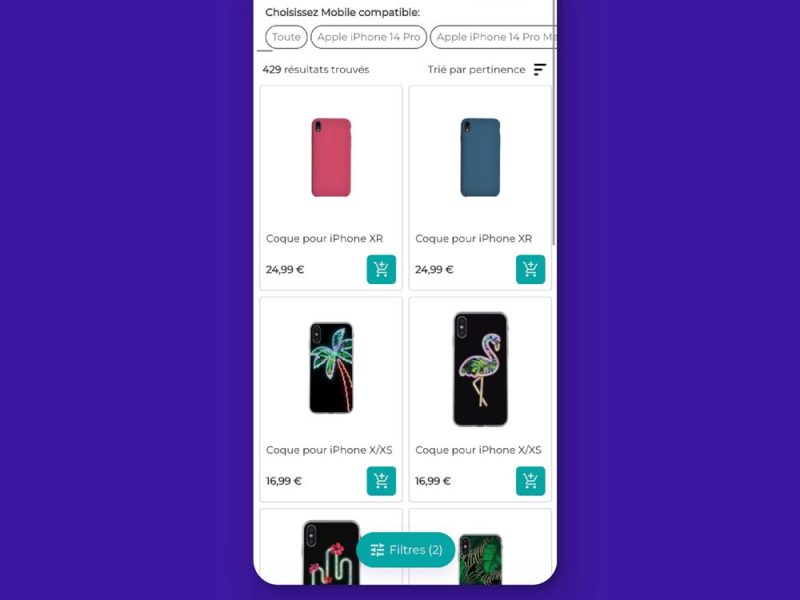 Gestion et développement e-commerce