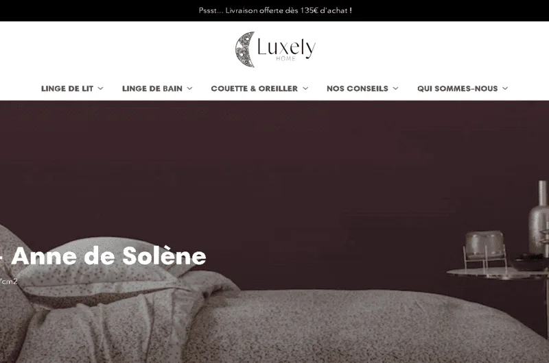 Développement de sites webs (vitrine, portfolio, e-commerce, etc)